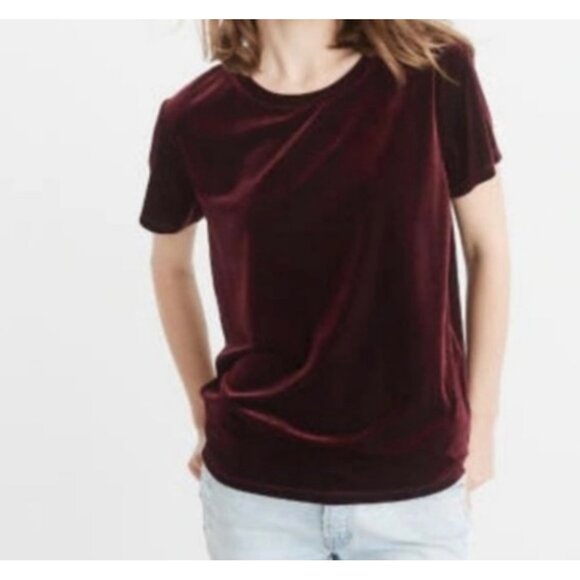 Abercrombie & Fitch Burgundy Velvet Crew Neck Blouse Short Sleeve Sz M - Picture 1 of 10